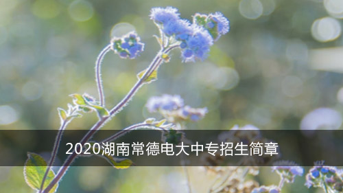 2020湖南常德电大中专招生简章