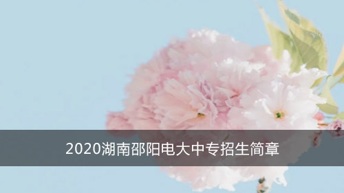 2020湖南邵阳电大中专招生简章