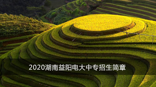 2020湖南益阳电大中专招生简章
