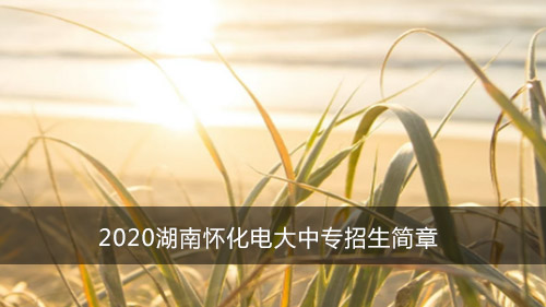2020湖南怀化电大中专招生简章