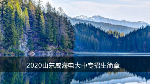 2020山东威海电大中专招生简章