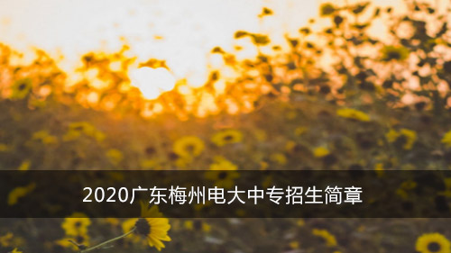 2020广东梅州电大中专招生简章
