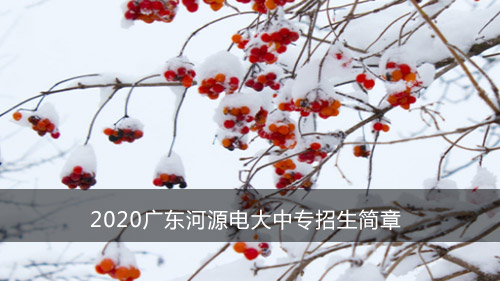 2020广东河源电大中专招生简章