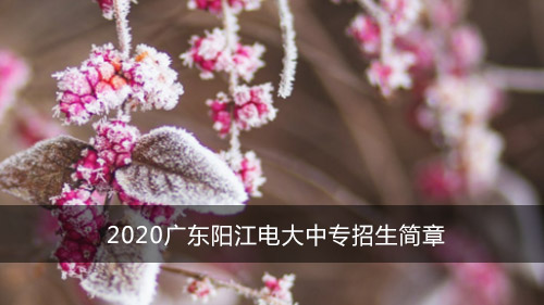 2020广东阳江电大中专招生简章