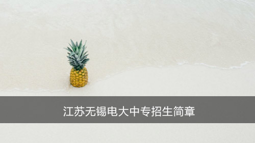 江苏无锡电大中专招生简章