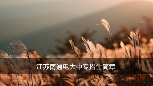 江苏南通电大中专招生简章