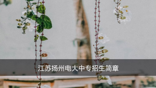 江苏扬州电大中专招生简章