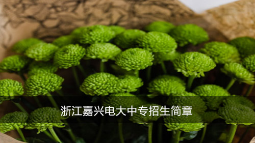 浙江嘉兴电大中专招生简章