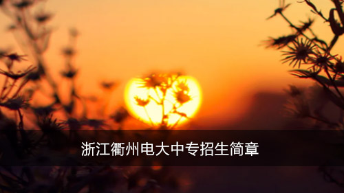 浙江衢州电大中专招生简章