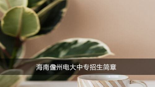 海南儋州电大中专招生简章