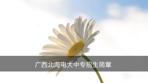 广西北海电大中专招生简章