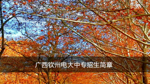广西钦州电大中专招生简章