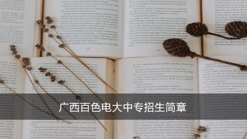 广西百色电大中专招生简章