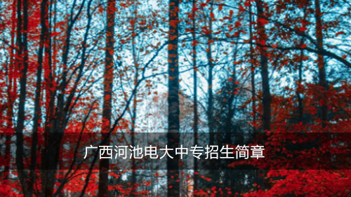 广西河池电大中专招生简章