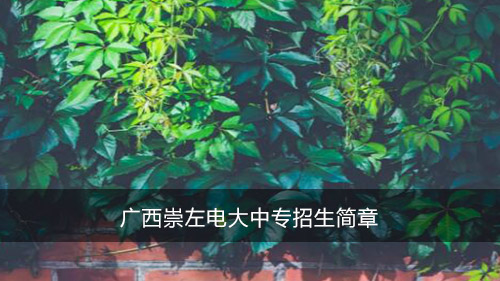 广西崇左电大中专招生简章