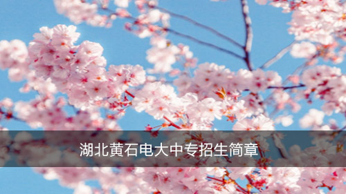 湖北黄石电大中专招生简章