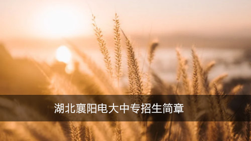 湖北襄阳电大中专招生简章