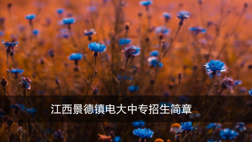 江西景德镇电大中专招生简章