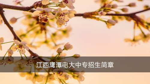 江西鹰潭电大中专招生简章