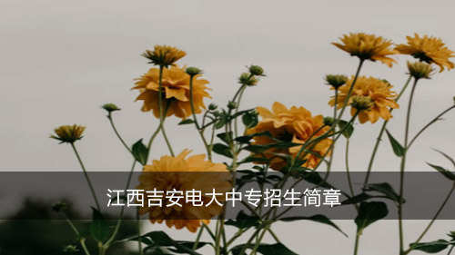 江西吉安电大中专招生简章