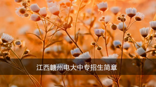 江西赣州电大中专招生简章