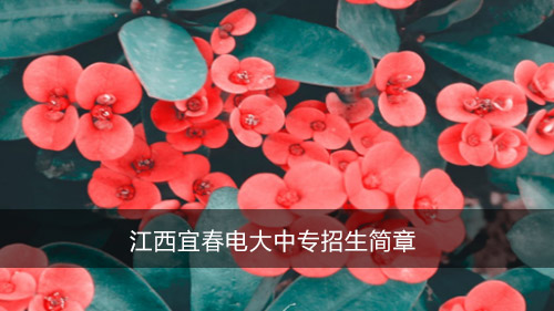 江西宜春电大中专招生简章