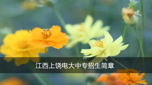 江西上饶电大中专招生简章