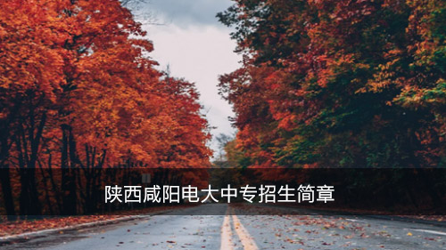 陕西咸阳电大中专招生简章