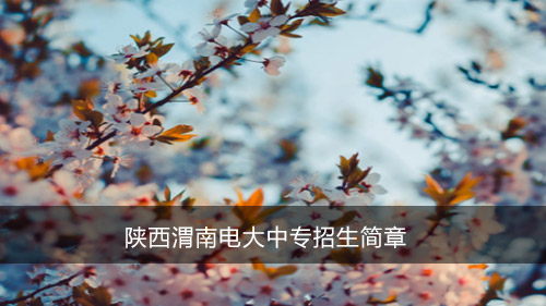 陕西渭南电大中专招生简章