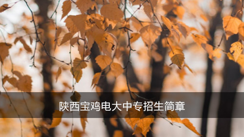 陕西宝鸡电大中专招生简章