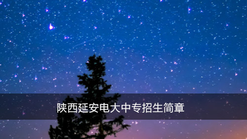 陕西延安电大中专招生简章