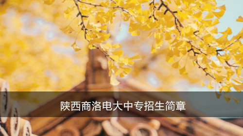 陕西商洛电大中专招生简章