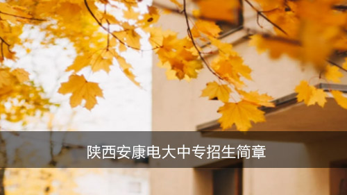 陕西安康电大中专招生简章