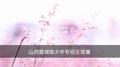 山西晋城电大中专招生简章