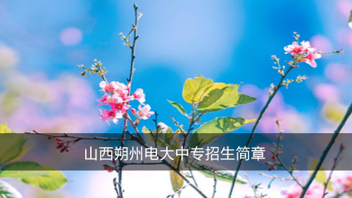 山西朔州电大中专招生简章