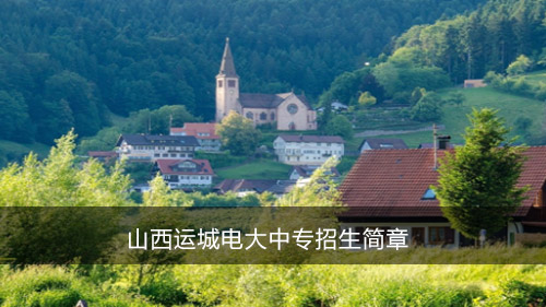 山西运城电大中专招生简章