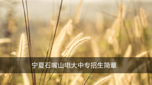 宁夏石嘴山电大中专招生简章