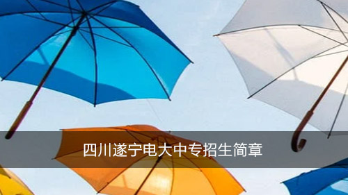 四川遂宁电大中专招生简章