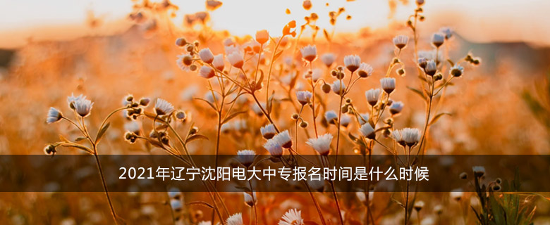 2021年辽宁沈阳电大中专报名时间是什么时候