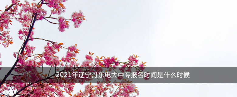 2021年辽宁丹东电大中专报名时间是什么时候