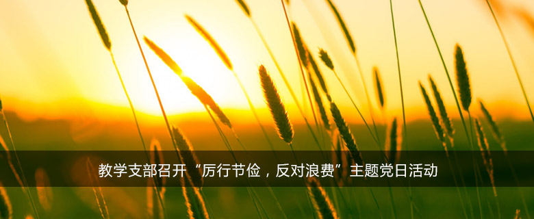 教学支部召开“厉行节俭,反对浪费”主题党日活动