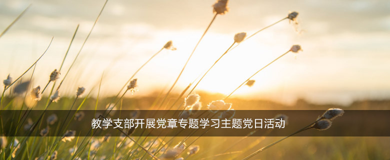 教学支部开展党章专题学习主题党日活动