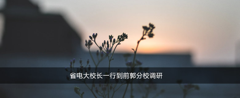 省电大校长一行到前郭分校调研