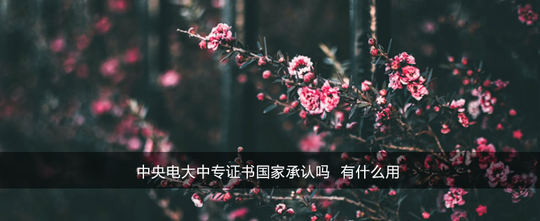 中央电大中专证书国家承认吗 有什么用