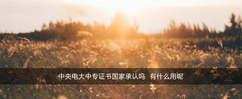 中央电大中专证书国家承认吗 有什么用呢