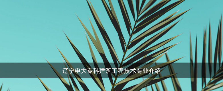 辽宁电大专科建筑工程技术专业介绍
