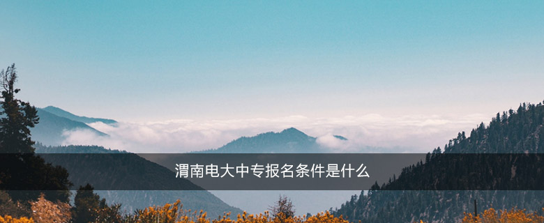 渭南电大中专报名条件是什么