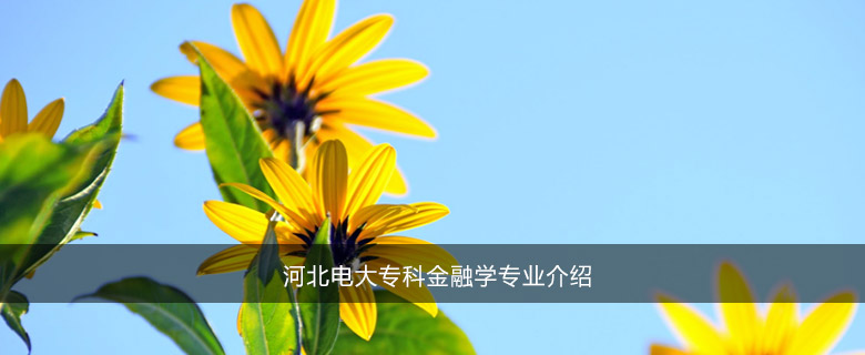 河北电大专科金融学专业介绍