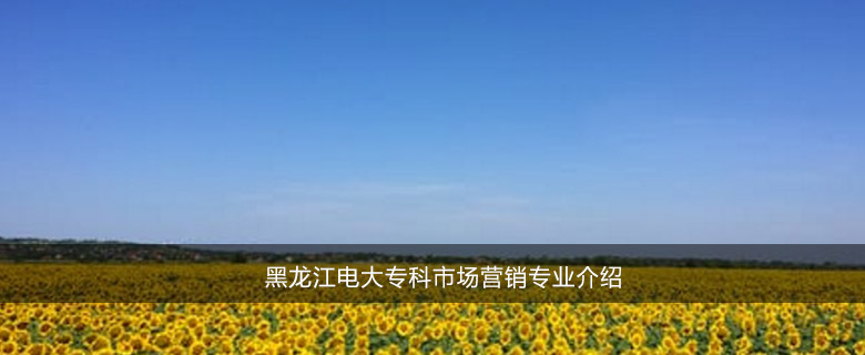 黑龙江电大专科市场营销专业介绍