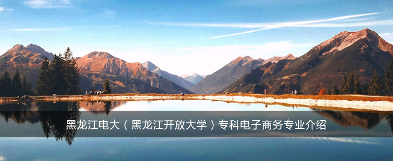 黑龙江电大(黑龙江开放大学)专科电子商务专业介绍